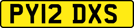 PY12DXS
