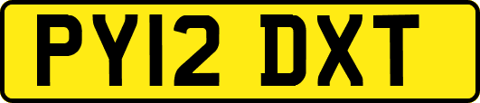 PY12DXT