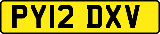 PY12DXV