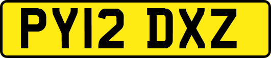 PY12DXZ