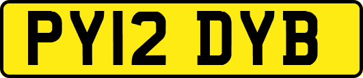 PY12DYB