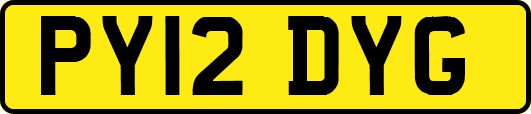 PY12DYG
