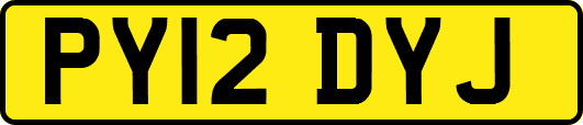 PY12DYJ