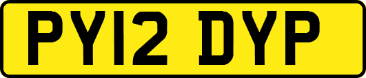 PY12DYP