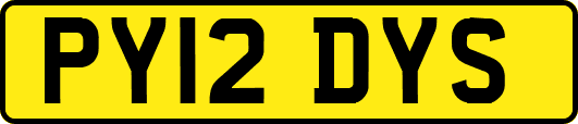 PY12DYS
