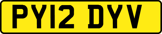 PY12DYV