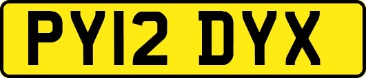 PY12DYX