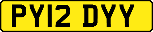 PY12DYY
