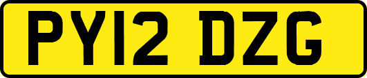 PY12DZG