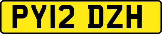 PY12DZH