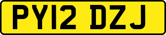 PY12DZJ