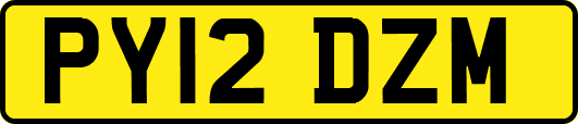PY12DZM