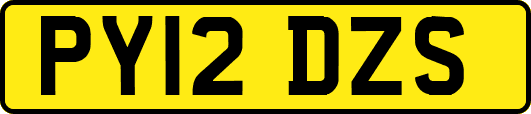 PY12DZS