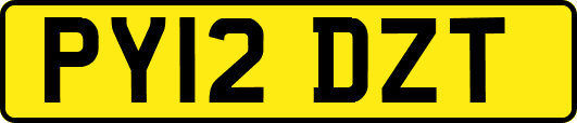 PY12DZT