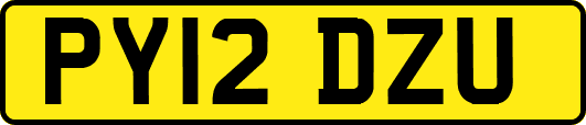 PY12DZU