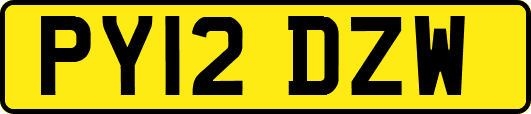PY12DZW