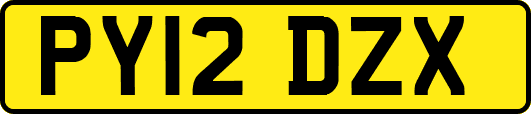 PY12DZX