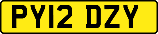 PY12DZY