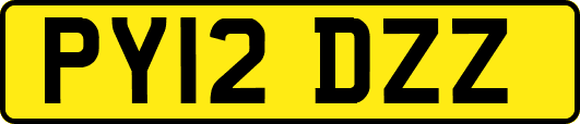 PY12DZZ