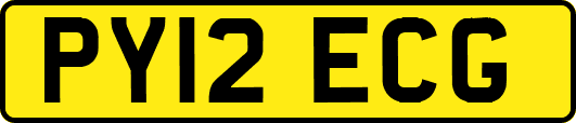 PY12ECG