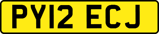 PY12ECJ