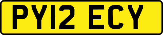 PY12ECY