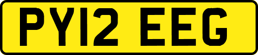 PY12EEG