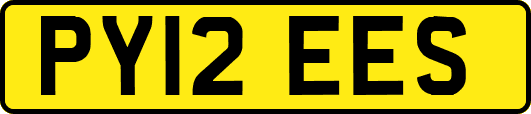 PY12EES