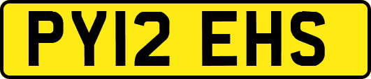 PY12EHS