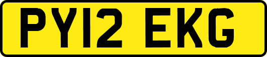 PY12EKG