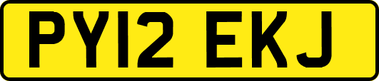 PY12EKJ