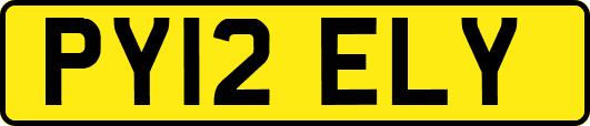 PY12ELY