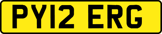 PY12ERG