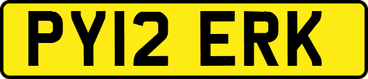 PY12ERK