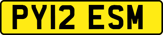 PY12ESM