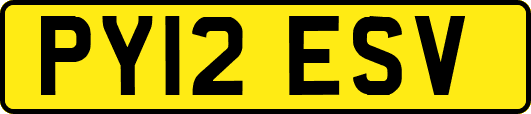 PY12ESV