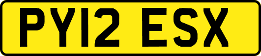 PY12ESX