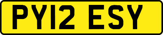 PY12ESY