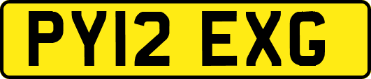 PY12EXG
