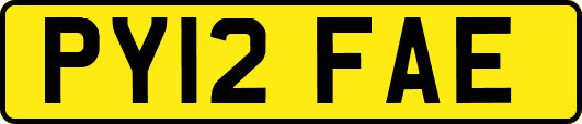 PY12FAE