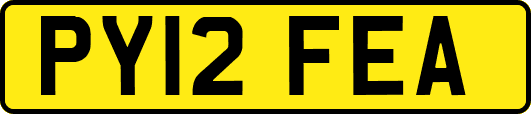 PY12FEA