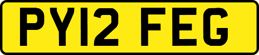 PY12FEG