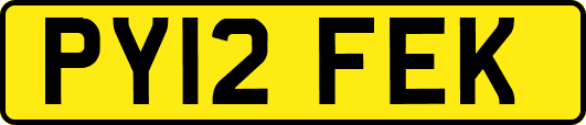 PY12FEK