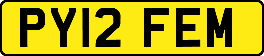PY12FEM