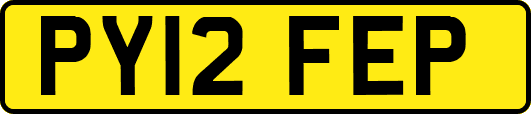 PY12FEP