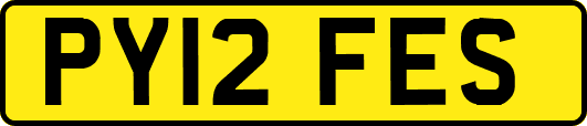 PY12FES