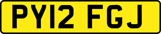PY12FGJ