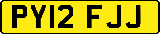 PY12FJJ