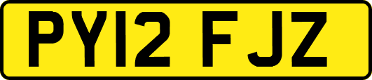 PY12FJZ