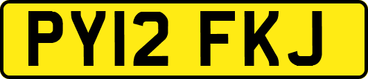 PY12FKJ